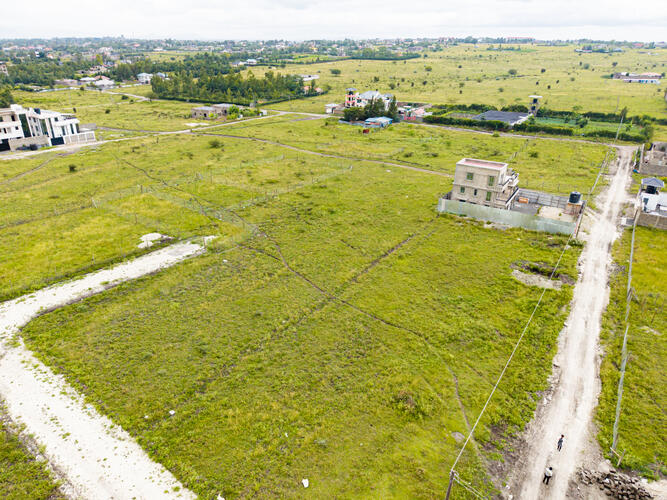 Aerial Plot View